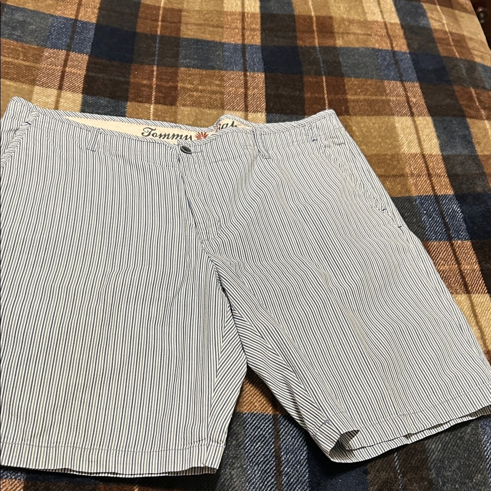 Tommy Bahama Men's Blue Striped Shorts
